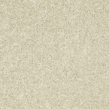 Shaw Floors Value Collections Tactical Net Waffle Cone