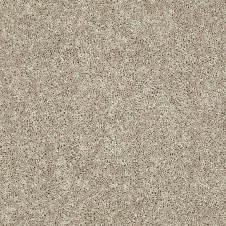 Shaw Floors Value Collections Tactical Net Warm Tea