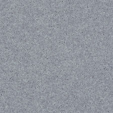 Shaw Floors Value Collections Full Court Net Dolphin