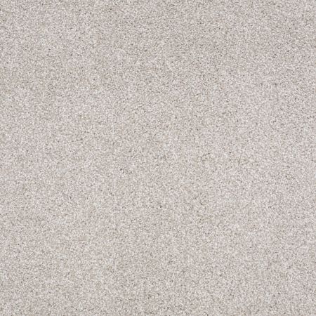 Shaw Floors SFA Awesome 6 (t) Catnip