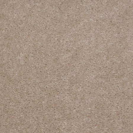 Shaw Floors Value Collections Matador Net Chipmunk