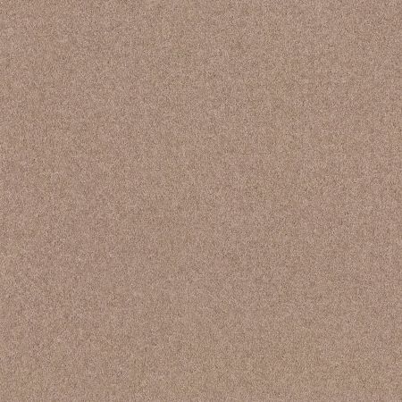 Shaw Floors Value Collections Dashing II 12 Net Plaster