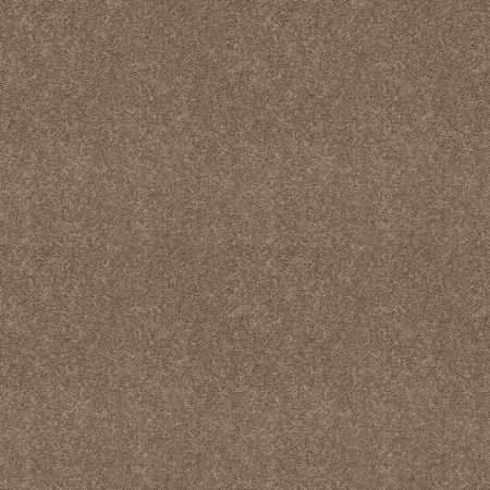 Shaw Floors Value Collections Dashing II 12 Net Taupe Mist