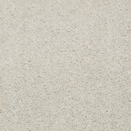 Shaw Floors Value Collections Dashing II 15 Net Alabaster