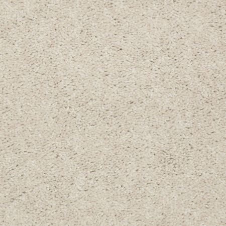 Shaw Floors Value Collections Dashing II 15 Net Vanilla Custard