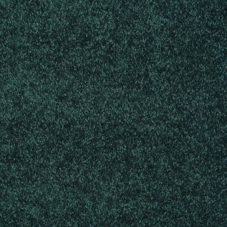 Shaw Floors Value Collections Dashing II 15 Net Polo