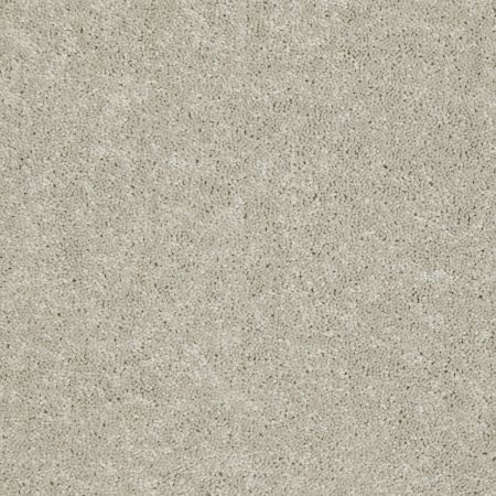 Shaw Floors Value Collections Dashing II 15 Net Dove