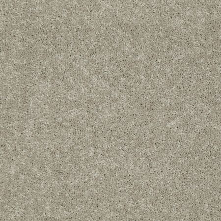 Shaw Floors Value Collections Dashing II 15 Net Plaster