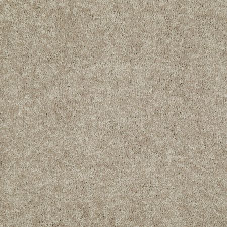 Shaw Floors Value Collections Dashing II 15 Net Dusty Trail