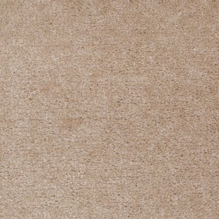 Shaw Floors Value Collections Cascade II Net Fawn's Leap