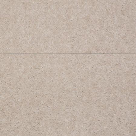 Shaw Floors Value Collections Atherton Net Basic Beige