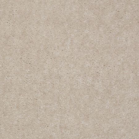 Shaw Floors Value Collections Atherton Net Light Taupe