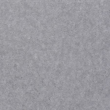 Shaw Floors Value Collections Atherton Net Dublin Grey