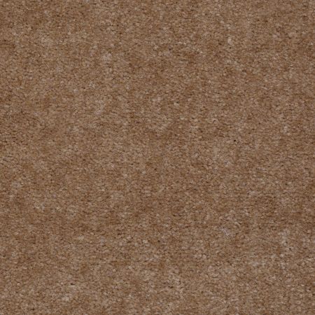 Shaw Floors Value Collections Atherton Net Tudor Brown