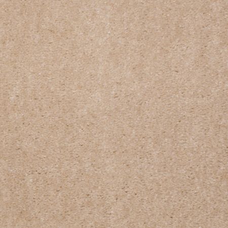 Shaw Floors Value Collections Hawkeye Net Grain