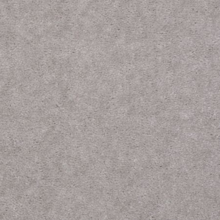 Shaw Floors Value Collections Hawkeye Net Quick Silver