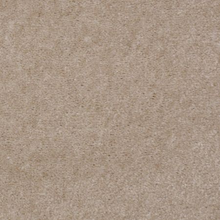 Shaw Floors Value Collections Hawkeye Net Birch Hill