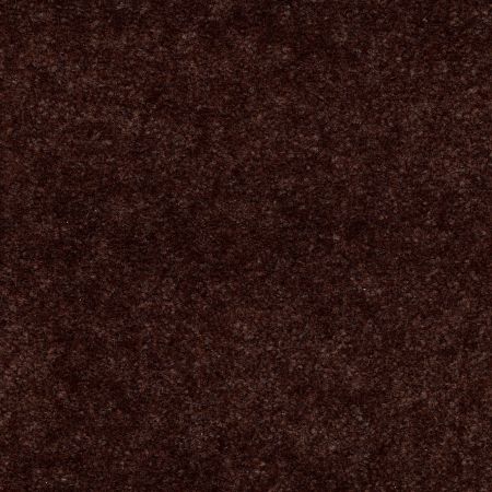 Shaw Floors Value Collections Hawkeye Net Tree Bark