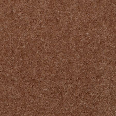 Shaw Floors Value Collections Hawkeye Net Kidskin