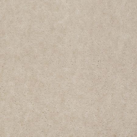 Shaw Floors Value Collections Blazer II Net Alabaster