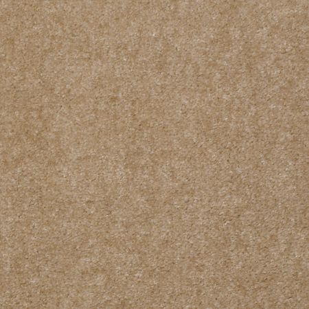 Shaw Floors Value Collections Blazer II Net New Fawn