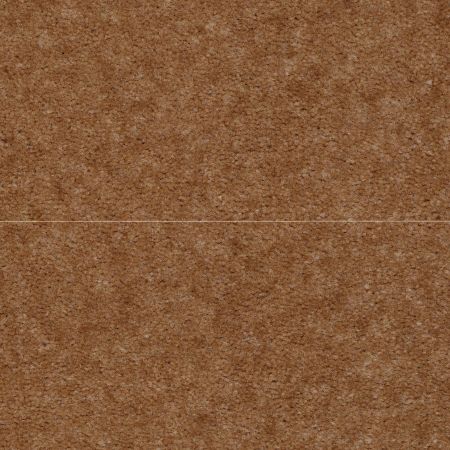Shaw Floors Value Collections Blazer II Net Suede