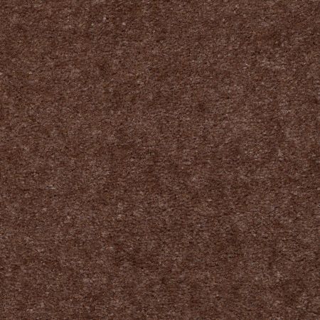 Shaw Floors Value Collections Blazer II Net Sparrow