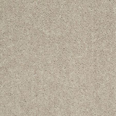 Shaw Floors Value Collections All Star Weekend I 12 Net Bare Mineral