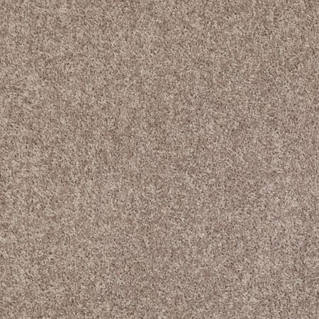 Shaw Floors Value Collections All Star Weekend I 12 Net Aloe