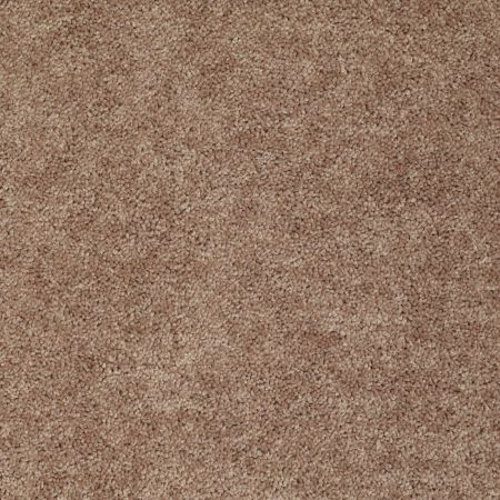 Shaw Floors Value Collections All Star Weekend I 12 Net Granola