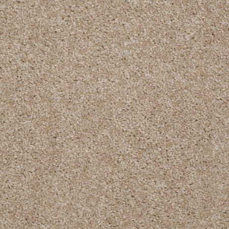 Shaw Floors Value Collections Victory Net Shell Island