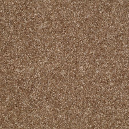 Shaw Floors Value Collections Victory Net Bannister