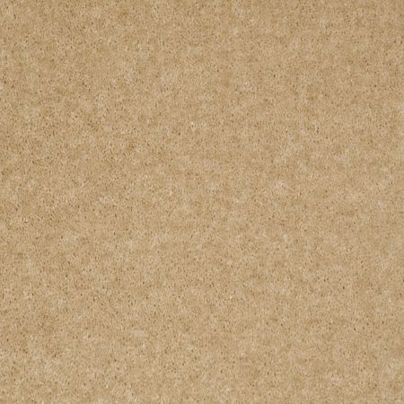 Shaw Floors Value Collections Footwork Net Boardwalk