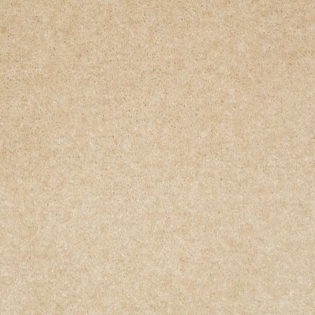 Shaw Floors Value Collections Footwork Net Tea Stain