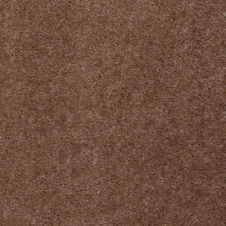 Shaw Floors Value Collections Footwork Net Tudor Brown