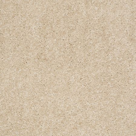 Shaw Floors Value Collections Max Appeal Net Venetian Tile