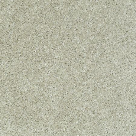 Shaw Floors Value Collections Play Hard Net Bliss