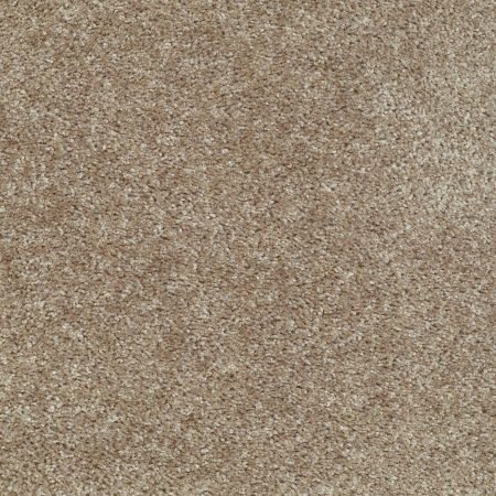 Shaw Floors Value Collections Play Hard Net Mocha Froth