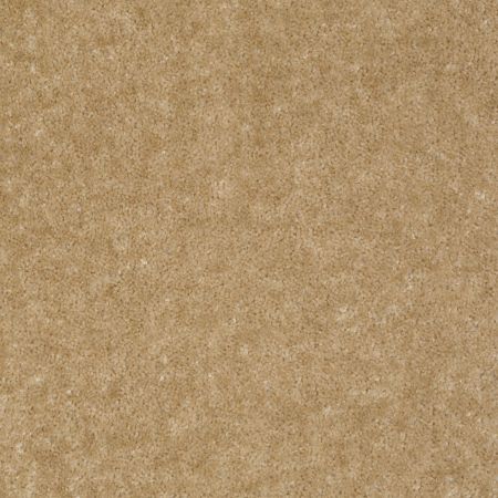 Shaw Floors Value Collections Sprinter Net Tree Trunk