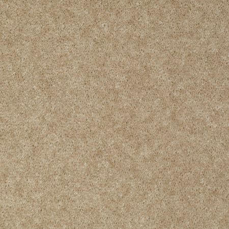 Shaw Floors Value Collections Sprinter Net Baja