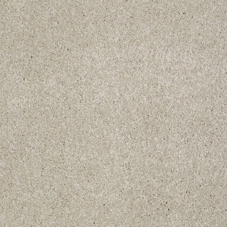 Shaw Floors You Know It Linen