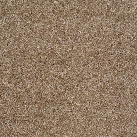 Shaw Floors Parlay Bungalow