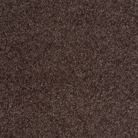 Shaw Floors Parlay Mink