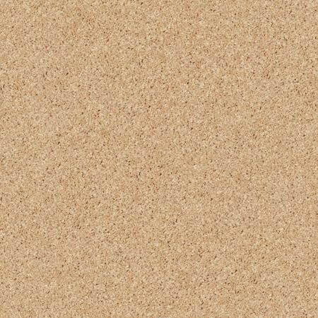 Shaw Floors Value Collections All Star Weekend II 12' Net Sun Beam