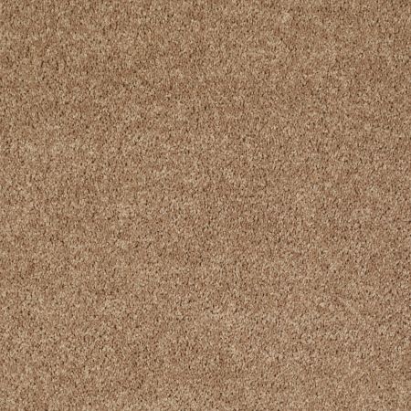 Shaw Floors Value Collections All Star Weekend III 15' Net Golden Echoes