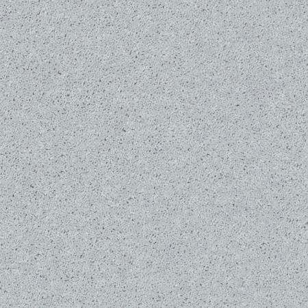 Shaw Floors Value Collections All Star Weekend III 15' Net Dove