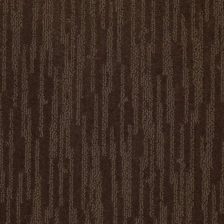 Shaw Floors Simply The Best Bandon Dunes Mocha Chip