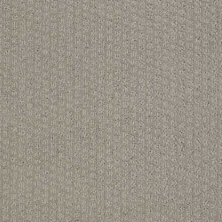 Shaw Floors Simply The Best Pacific Trails Valley Mist