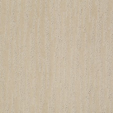 Shaw Floors Value Collections Bandon Dunes Net Dunes