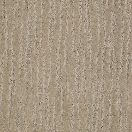 Shaw Floors Value Collections Bandon Dunes Net Hiking Trail